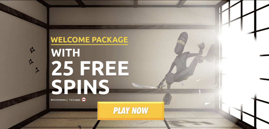 Lucky Niki Welcome Package with 25 FREE Spins
